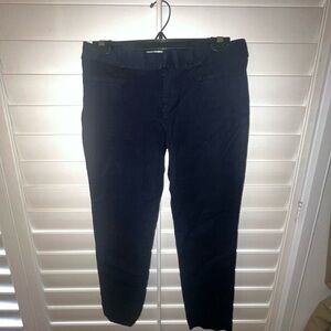 Banana Republic Midnight Blue Trousers